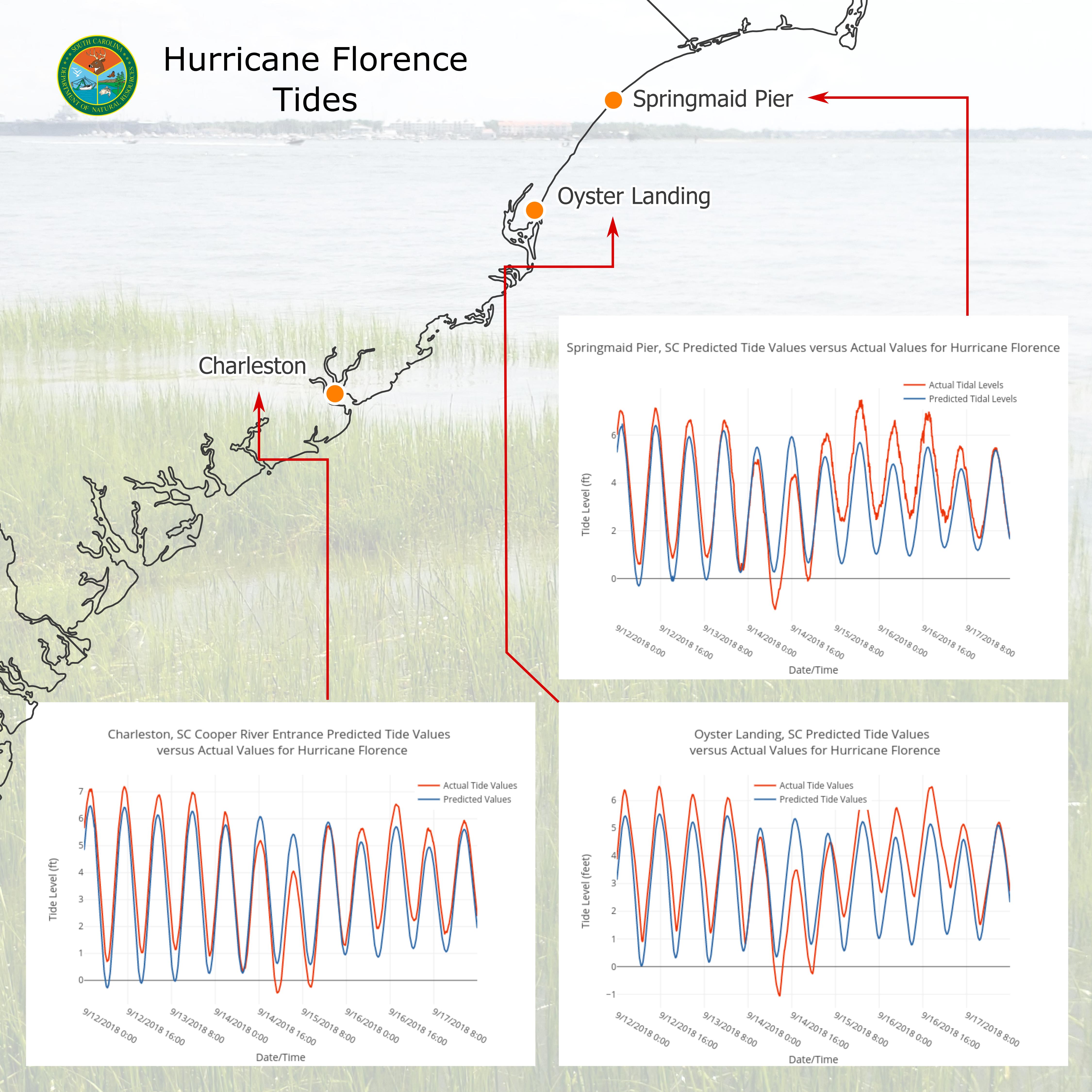 Florence Tide Chart